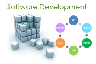 software development